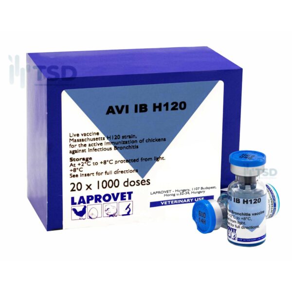 AVI H120 | Vắc-xin phòng bệnh IB dòng Massachusetts H120