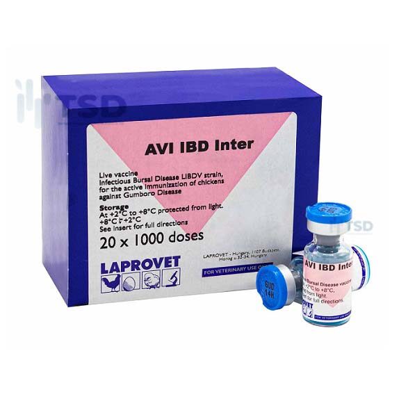 AVI IBD Inter | Vắc-xin phòng Gumboro dòng ILBDV