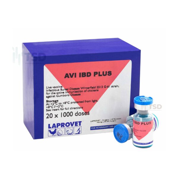AVI IBD Plus | Vắc-xin phòng bệnh Gumboro dòng Winterfield 2512 G61
