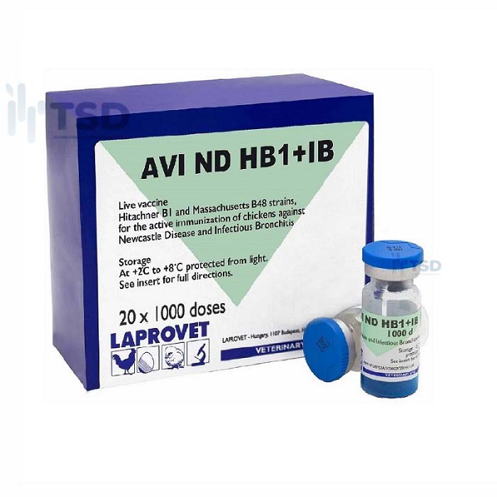 AVI ND HB1+IB | Vắc-xin phòng bệnh IB chủng Massachusetts B48 và Newcastle chủng Hitchner B1