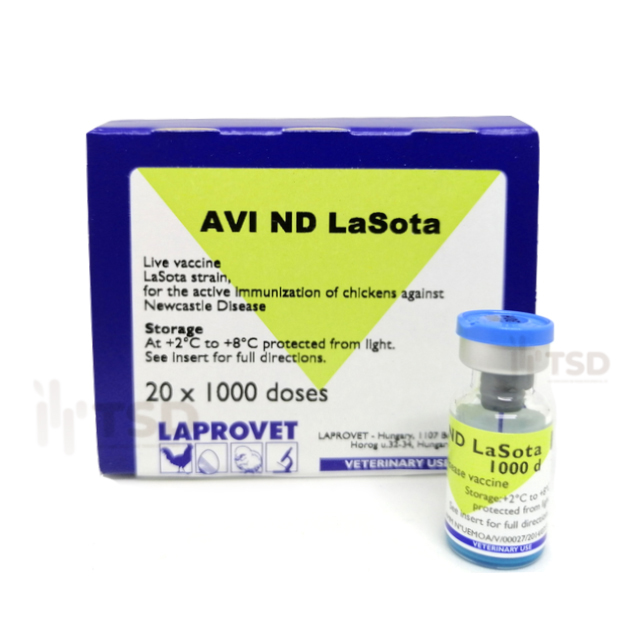 AVI ND Lasota | Vắc-xin phòng bệnh ND dòng Lasota