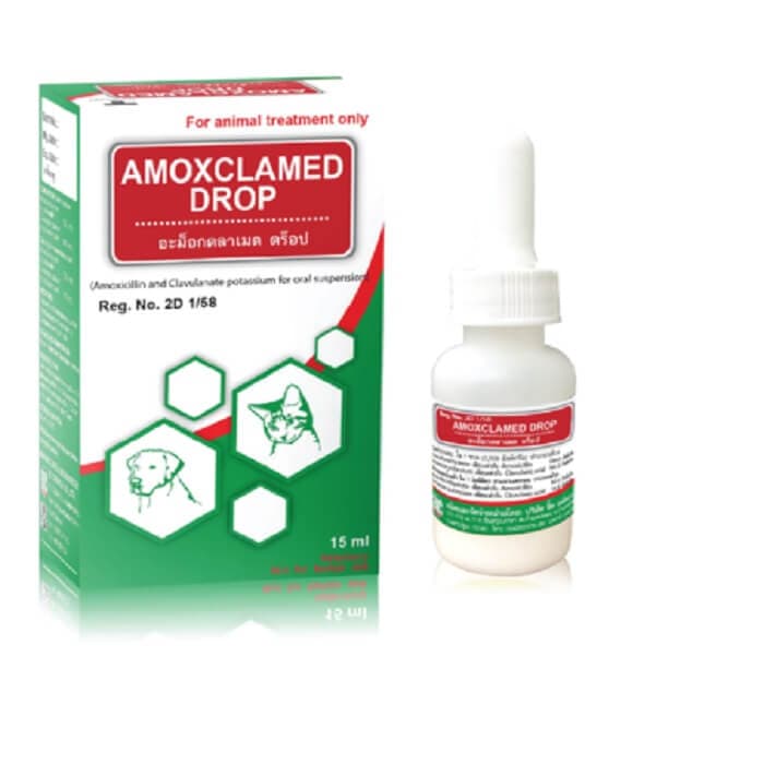 amoxclamed drop kháng sinh amox dạng uống cho chó mèo