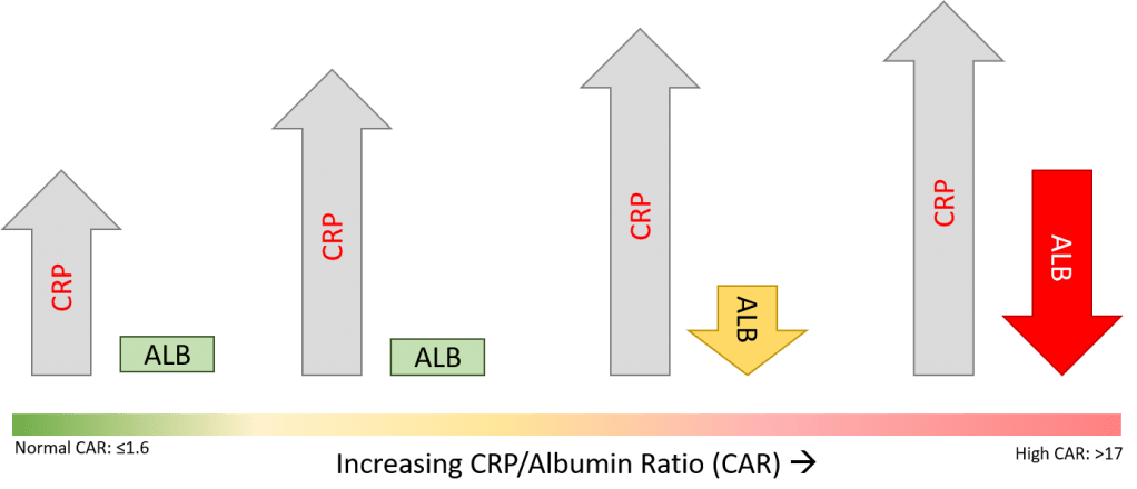 ti-le-crp-alb-2