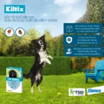 Công dụng vòng cổ Kiltix bảo vệ 7 tháng và an toàn cho chó mẹ mang thai