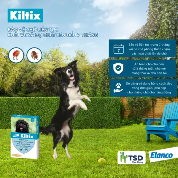 Công dụng vòng cổ Kiltix bảo vệ 7 tháng và an toàn cho chó mẹ mang thai