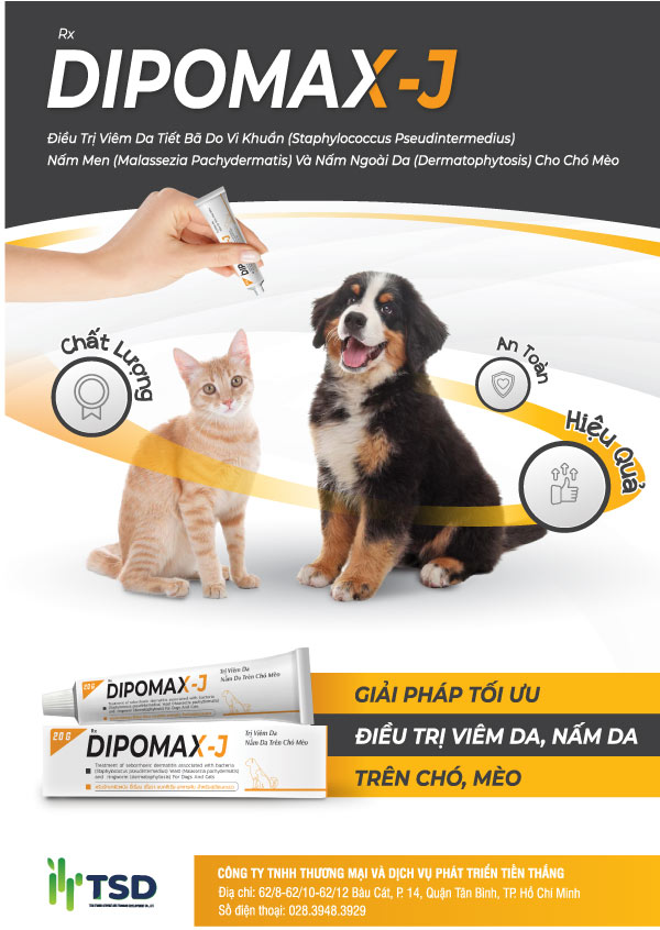 dipomax j | trị viêm da, nấm da, triệu chứng viêm da cấp trên chó mèo