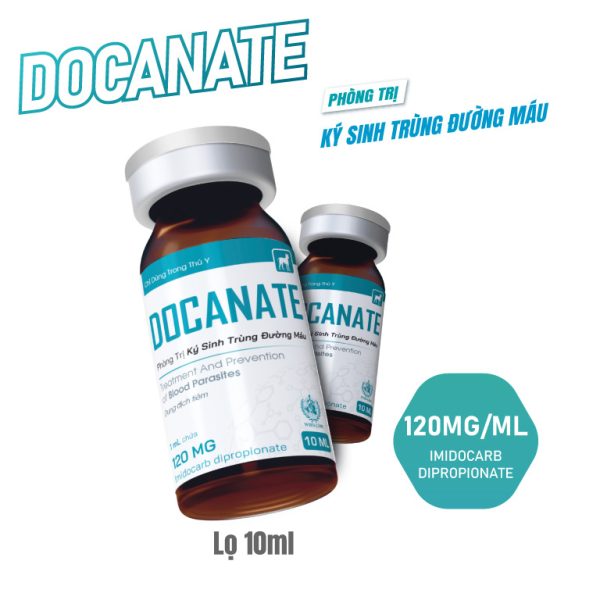 Docanate thuốc tiêm ký sinh trùng máu cho chó