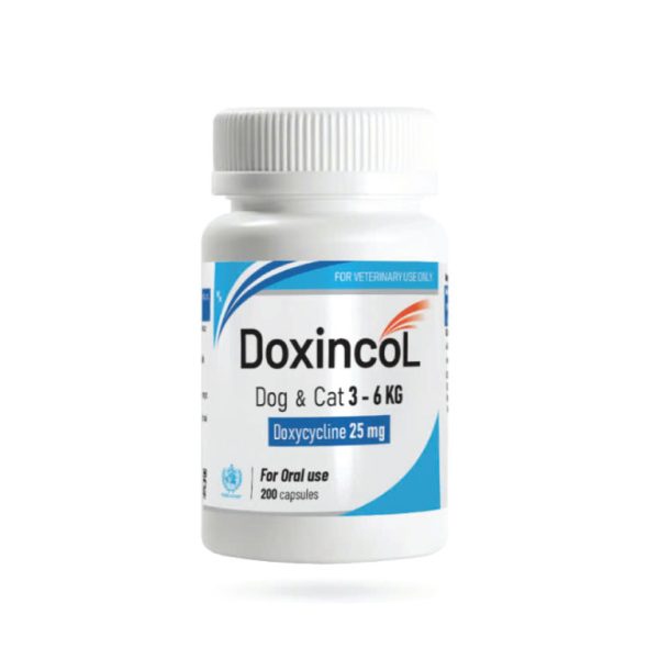 Doxincol - Điều trị nhiễm trùng đường tiêu hoá, hô hấp, niệu – sinh dục, và viêm.