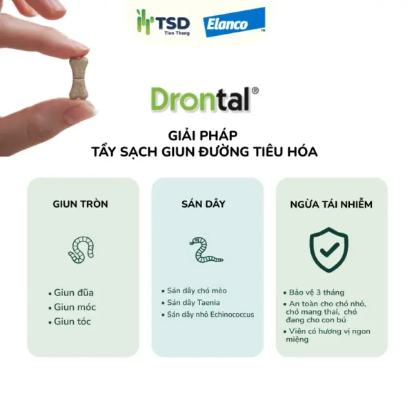 Drontal Dog Tasty Bone - giải pháp 3 trong 1 diệt giun tròn, sán dây cho chó