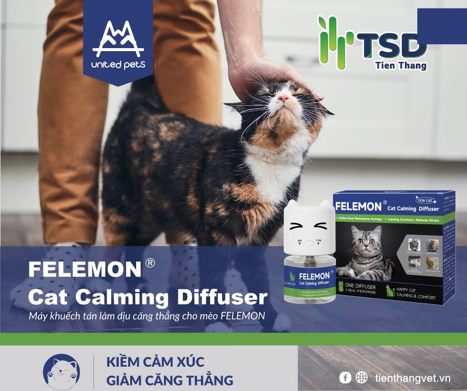 felemon giúp mèo làm dịu căng thẳng
