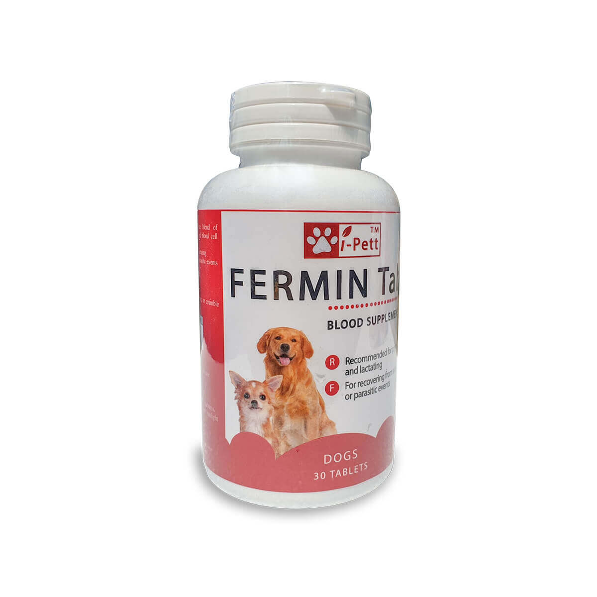 fermin tab hỗn hợp vitamin hỗ trợ quá trình tạo máu