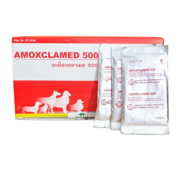 kháng sinh amoxclamed 500 trị các bệnh nhiễm trùng trên chó