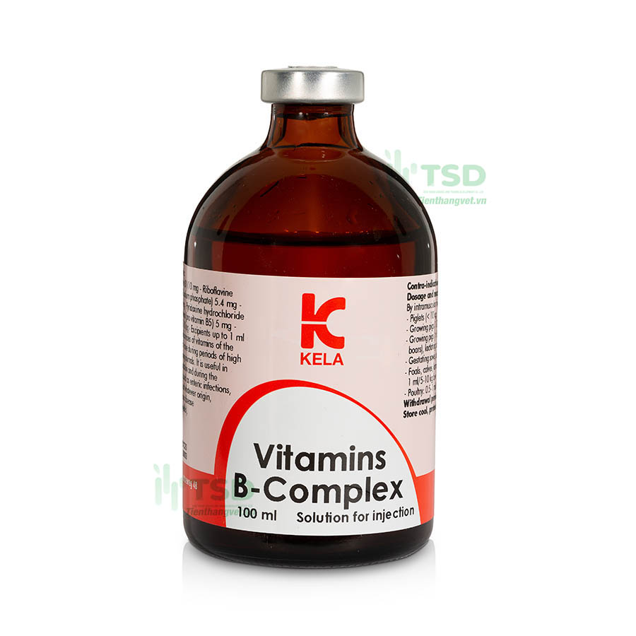 vitamins b complex hỗn hợp vitamin b dạng dung dịch tiêm 100ml