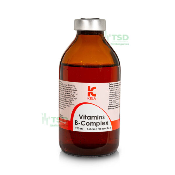 vitamins b complex hỗn hợp vitamin b dạng dung dịch tiêm 250ml