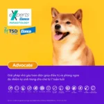 Thuốc nhỏ gáy Thuốc nhỏ gáy Advocate cho chó 10-25kg trị ghẻ trị nội ngoại ký sinh