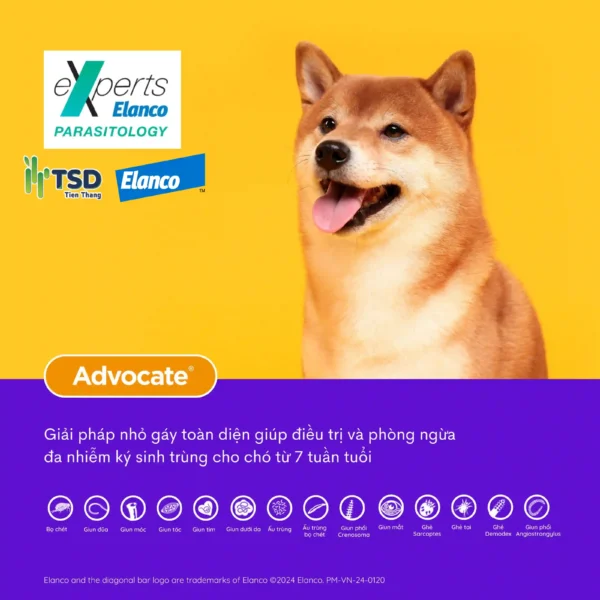 Thuốc nhỏ gáy Thuốc nhỏ gáy Advocate cho chó 10-25kg trị ghẻ trị nội ngoại ký sinh