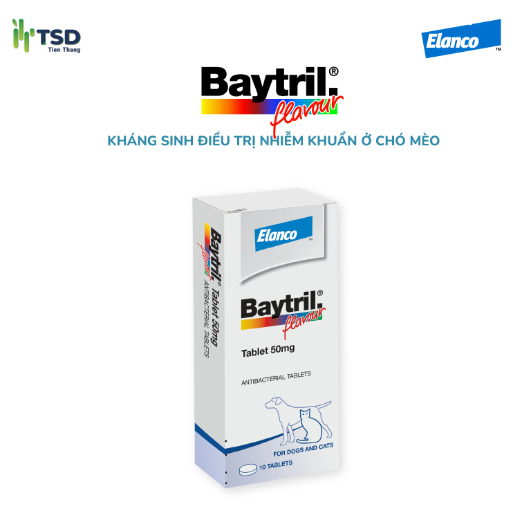 Hộp thuốc kháng sinh Baytril Flavour Tablet 50mg chính hãng Elanco