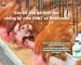 bảo hộ đàn gà hiệu quả chống lại cúm h9n2 và newcastle