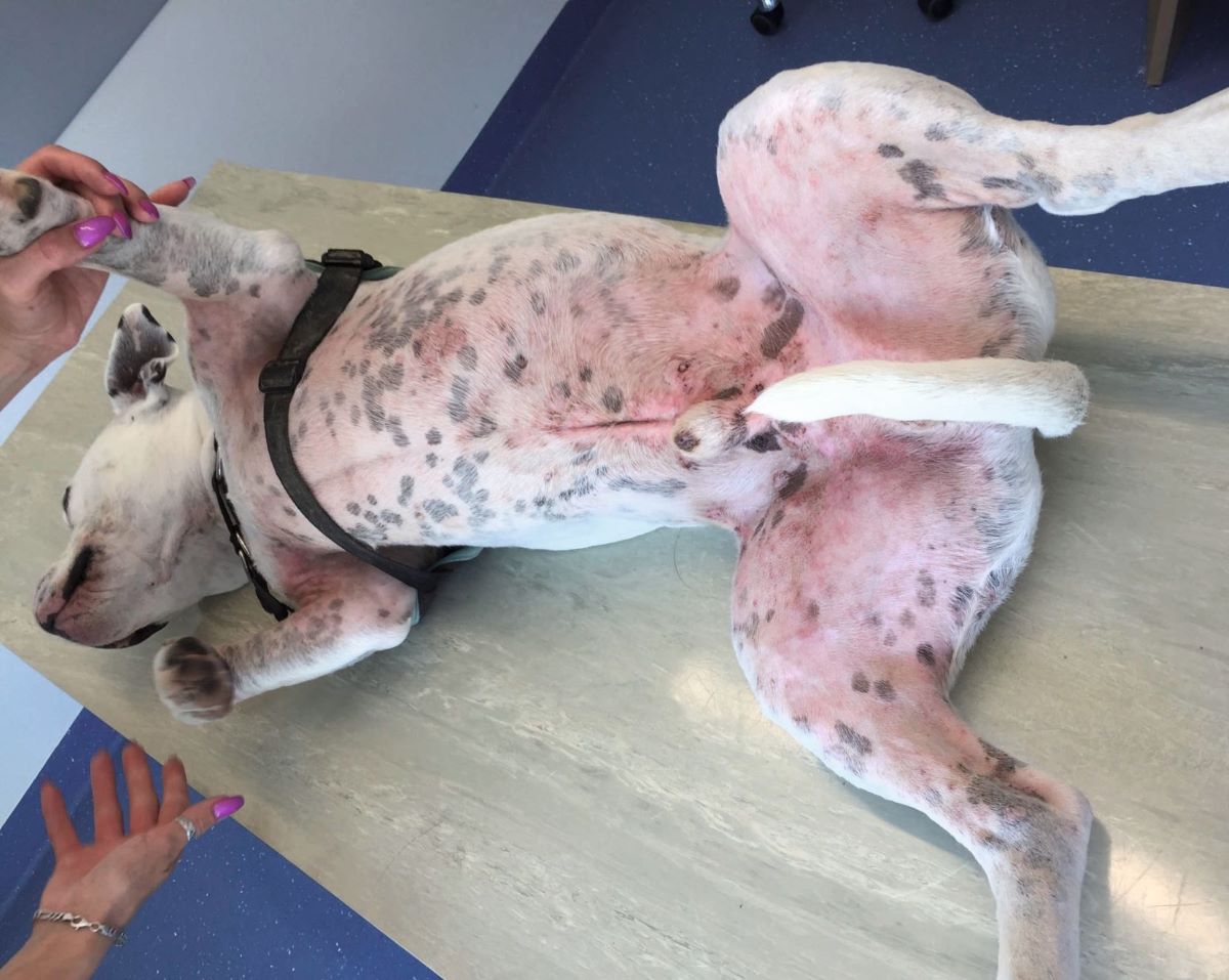 hieu-dung-ve-di-ung-thuc-pham2