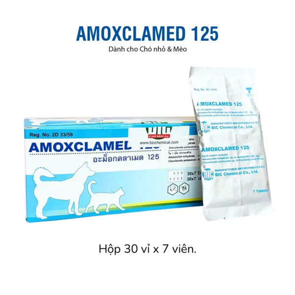 Kháng sinh Amoxclamed 125 cho chó mèo trị viêm da