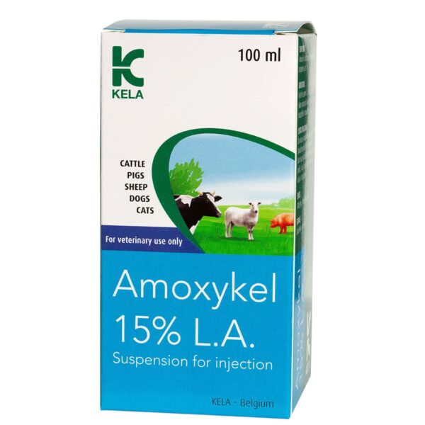 kháng sinh amoxykel 15 la 100ml