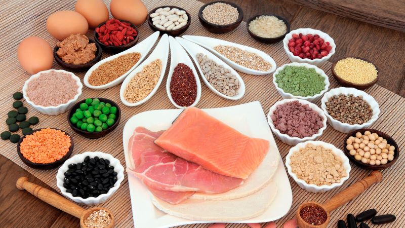 thuc-an-cho-meo-thu-nghiem-loai-tru-thuc-an