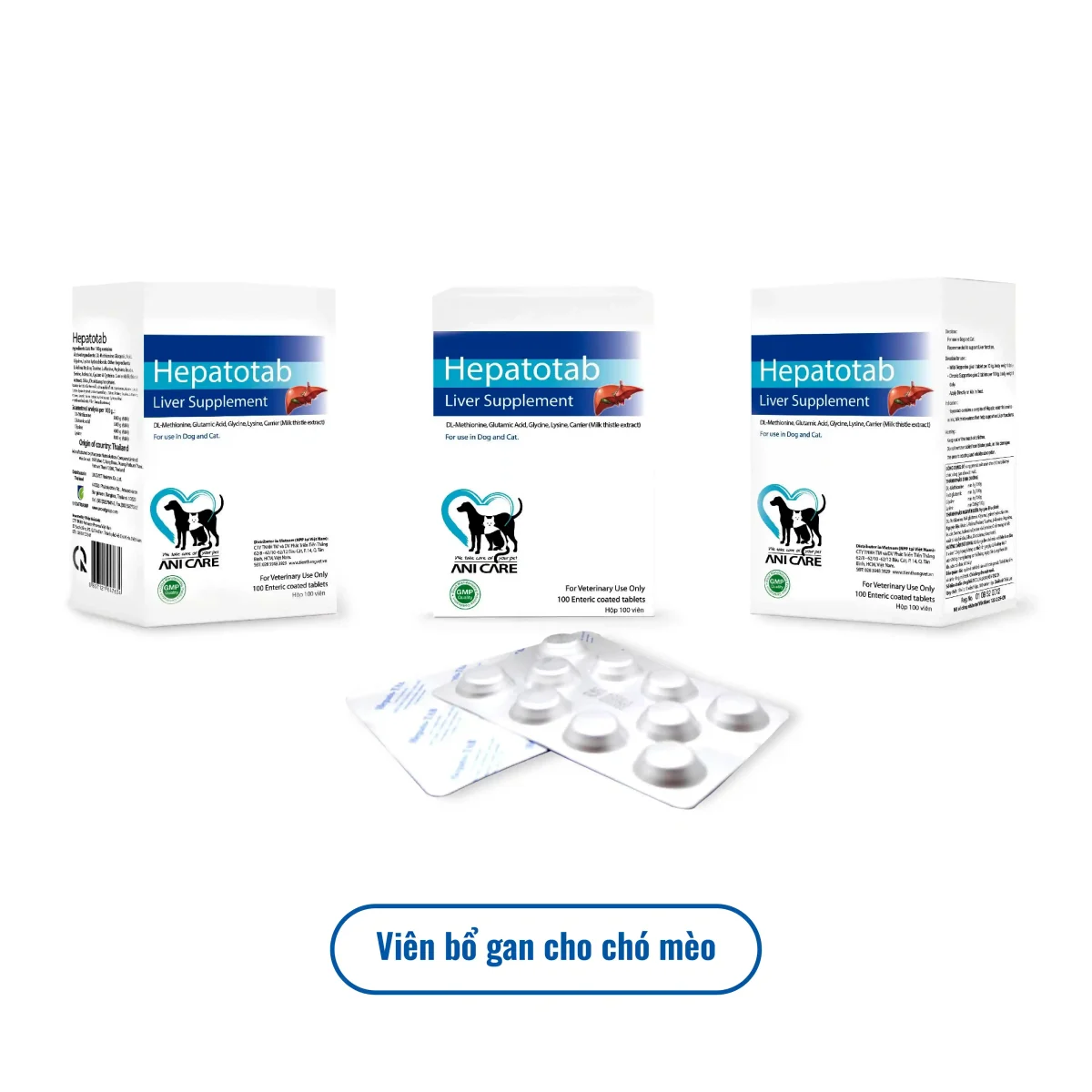 Ảnh thực tế viên bổ gan cho chó mèo Hepatotab